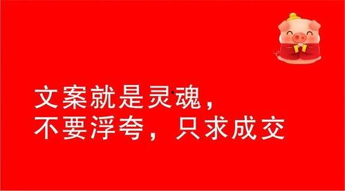 爆料视频如何写文案呢